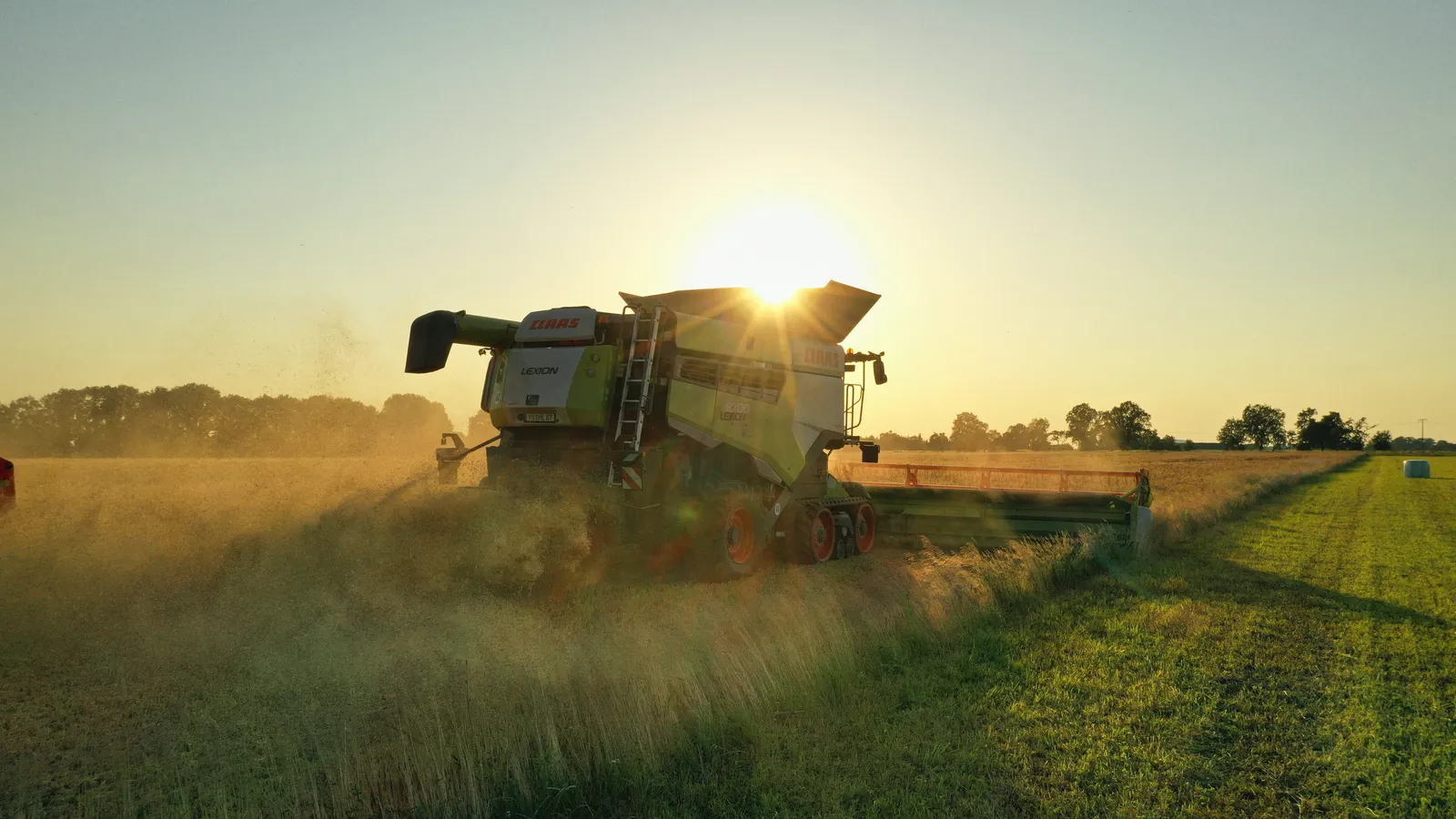 Mähdrescher bei der Ernte im Sonnenuntergang