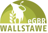 Logo Kunde Wallstawe eGbR